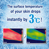 KAO BIORE Cooling Body Wipes 20 sheets
