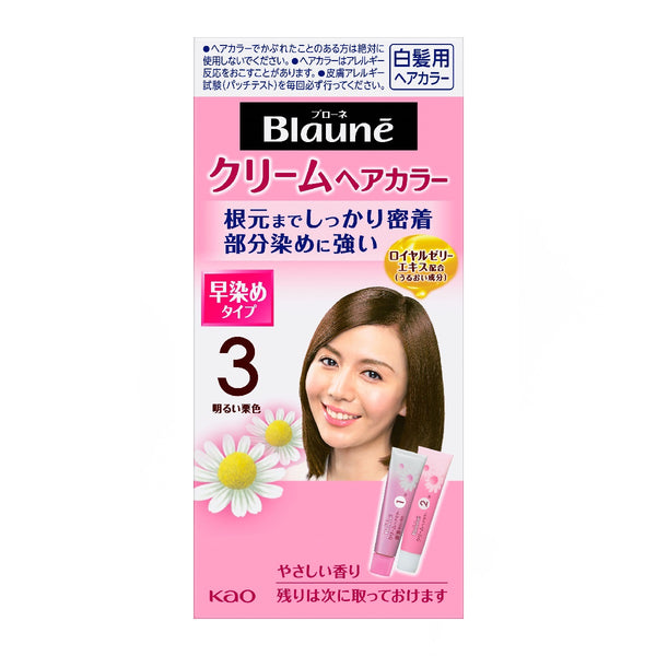 KAO Blaune Cream Hair Color for Gray Coverage 40g + 40g