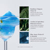 DR.ALTHEA Aqua Blue Hydration Mask