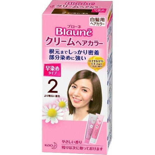 Kao Blaune Cream Type Hair Dye for White Hair No.2 Brighter Chestnut