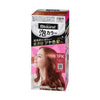KAO BLAUNE Bubble Hair Color for Gray Hair