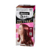 KAO BLAUNE Bubble Hair Color for Gray Hair