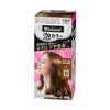 KAO BLAUNE Bubble Hair Color for Gray Hair
