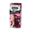 KAO BLAUNE Bubble Hair Color for Gray Hair