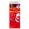 CIELO Hair Color Cream for Gray Hair