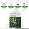 MEDIHEAL Tea Tree Essential Mask-Calming Moisture