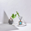 Laundrin Room Diffuser No.7 80ml